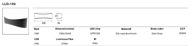 LED Outdoor Wall Light P-050