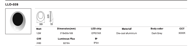 LED Outdoor Wall Light P-052