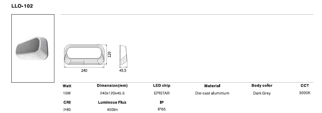 LED Outdoor Wall Light P-053