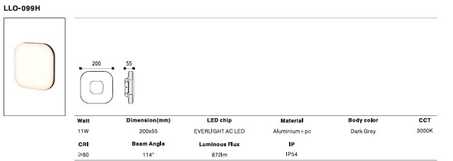 LED Outdoor Wall Light P-054