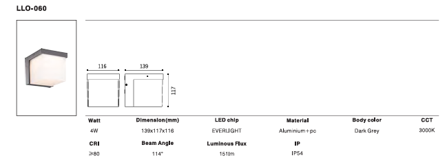LED Outdoor Wall Light P-055