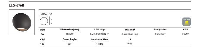 LED Outdoor Wall Light P-064