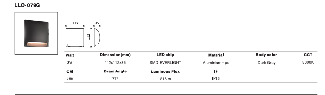 LED Outdoor Wall Light P-081