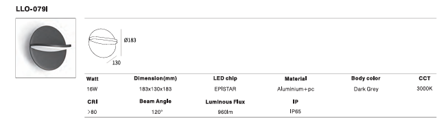 LED Outdoor Wall Light P-083