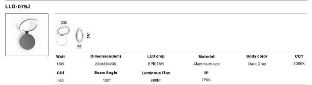 LED Outdoor Wall Light P-084