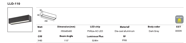 LED Outdoor Wall Light P-094